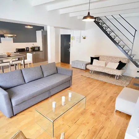 Appartement Duplex Neuf 8 Pers St Didier-vaise-lyon *
